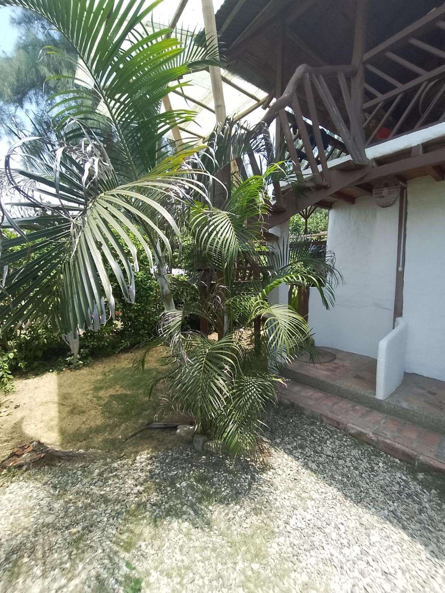 אייאמפה Hotel Palma Coco מראה חיצוני תמונה
