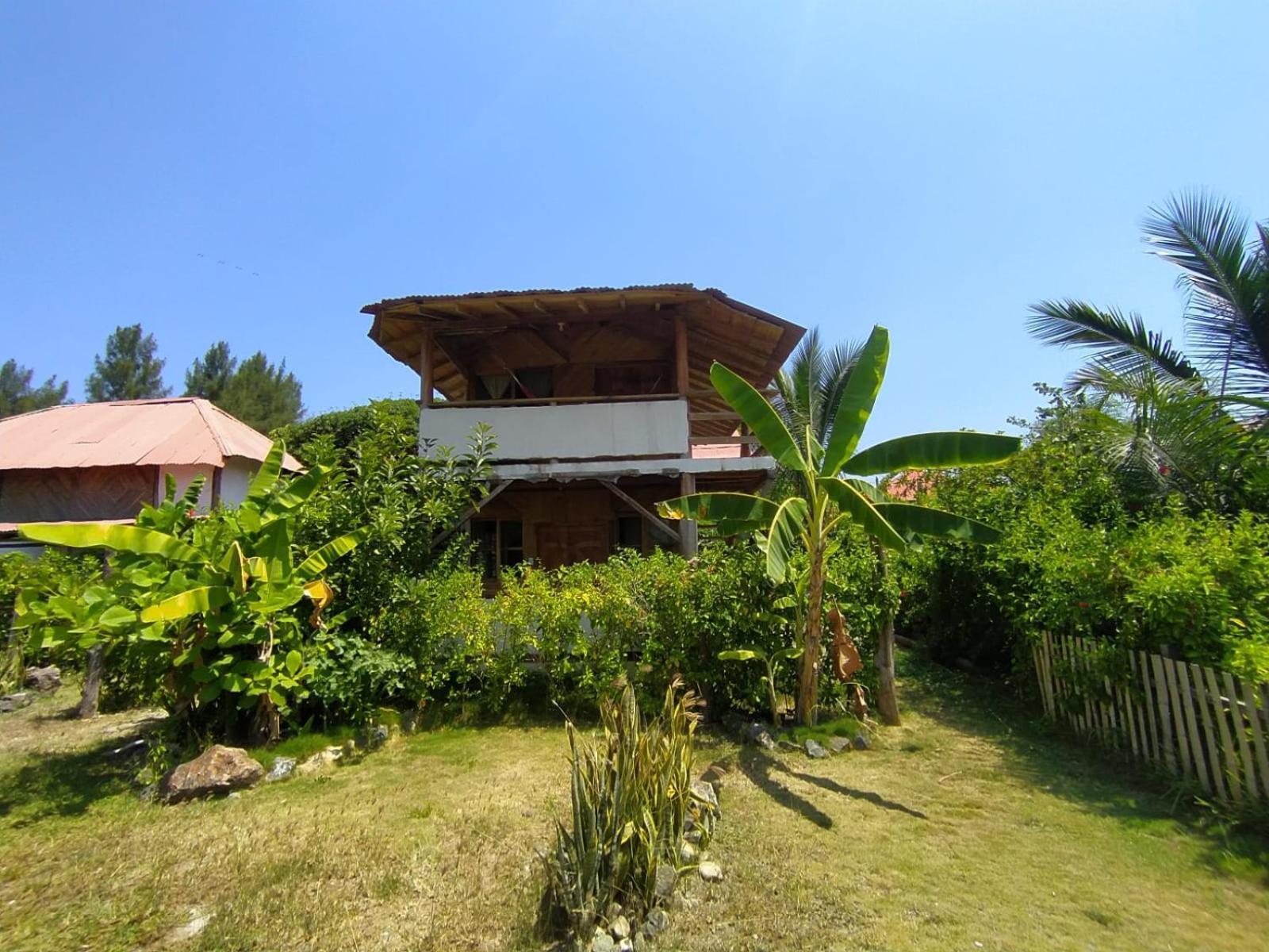 אייאמפה Hotel Palma Coco מראה חיצוני תמונה
